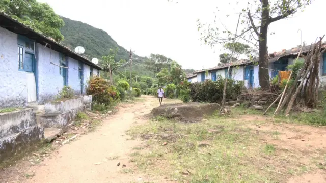 திருநெல்வேலி, மாஞ்சோலை, தேயிலை தோட்டம் 