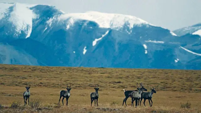 યુકોન, કૅનેડા