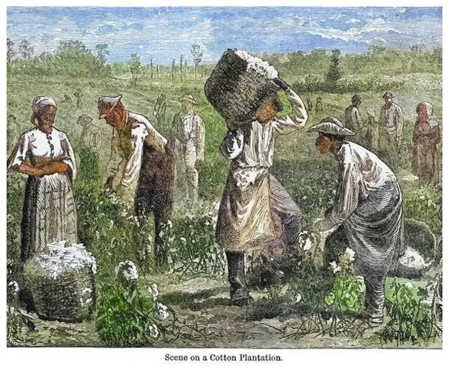 Henry et ses six frères et sœurs sont nés esclaves dans une plantation de l'État de l'Alabama, où ils ont passé les premières années de leur vie à travailler.
