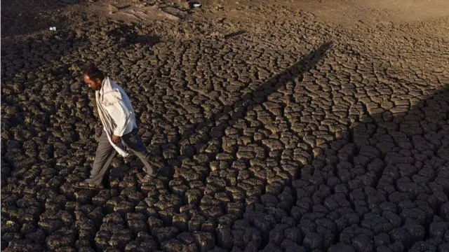 प्रातिनिधिक फोटो