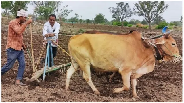 शेती, शेतकरी, पाऊस, पेरणी