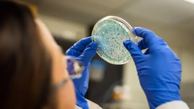 Mains gantées qui tiennent une capsule contenant des bactéries