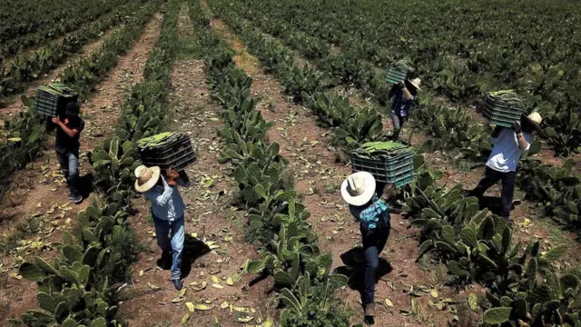 plastik, sampah plastik, daur ulang