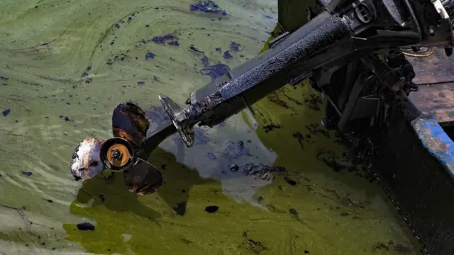 The propeller of a boat covered in oil