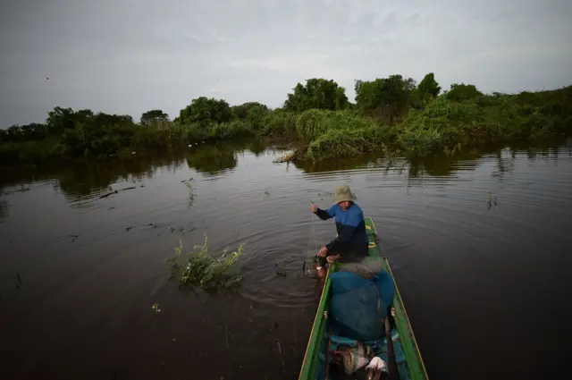 นักล่างู โตนเลสาบ งู