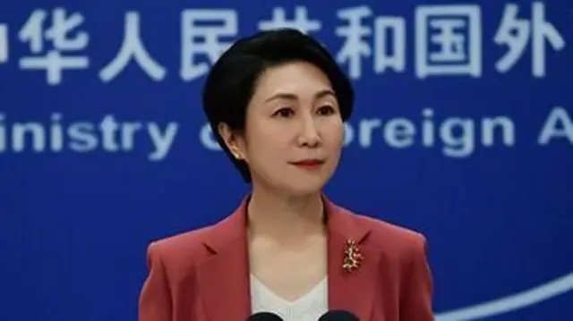 HMPV, વાઇરસ, ચીન, ભારત, સ્વાસ્થ્ય, બીબીસી ગુજરાતી