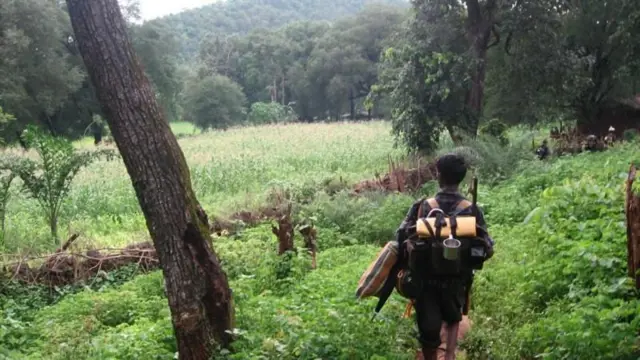 नक्षल चळवळ