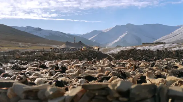A large stone-enclosed pen is crowded with goats, with a tent behind it. There are mountains in the backdrop covered in snow. The clear blue sky has some cloud coverage. 