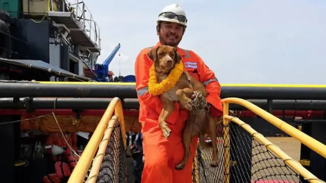 Собаку несуть на берег