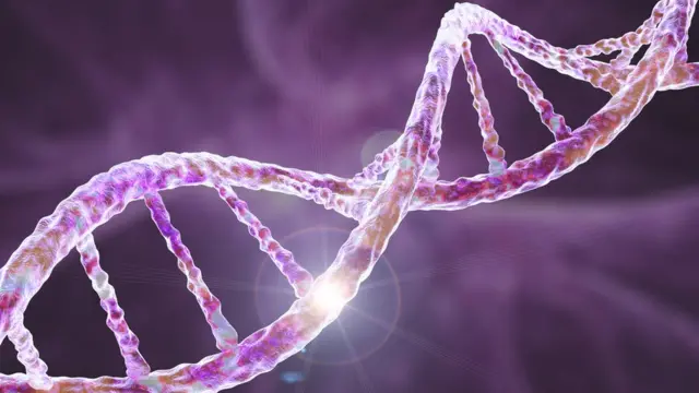 ஆய்வகங்களில் உருவாக்கப்படும் செயற்கை உயிரிகள்