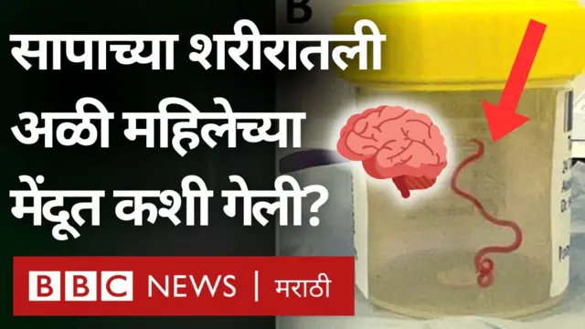 अळी