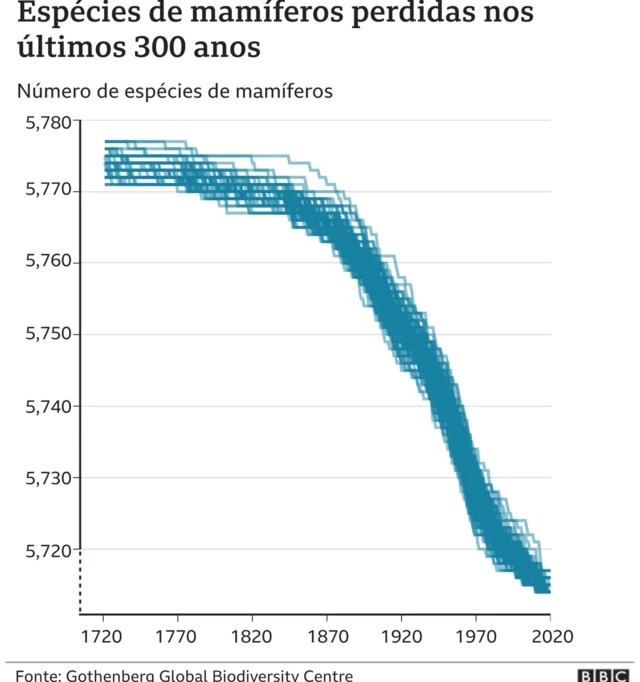 Gráfico