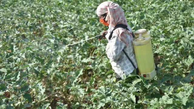 शेतकरी, अर्थसंकल्प