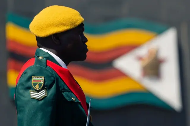 Un garde est vu de profil. Les couleurs de son uniforme correspondent à celles du drapeau zimbabwéen en arrière-plan.
