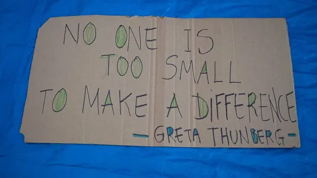 ஆவேச கேள்விகளால் உலகத் தலைவர்களை அதிர வைத்த பெண்: யார் இவர்?