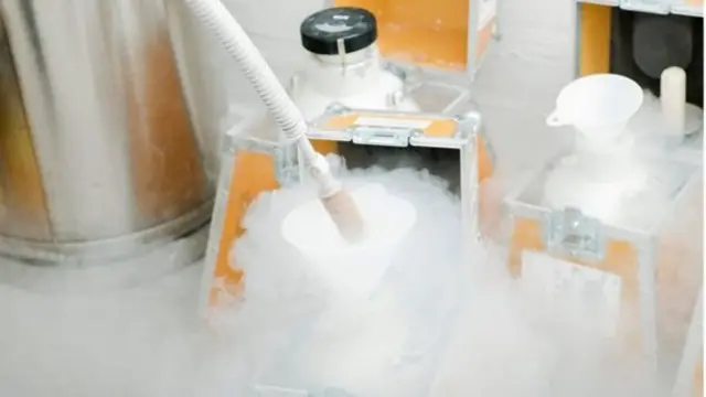 फ़ाइल फोटो