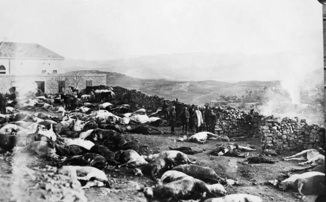 الدفاع عن قلعة راشيا في جبل الدروز خلال الثورة السورية الكبرى عام 1925