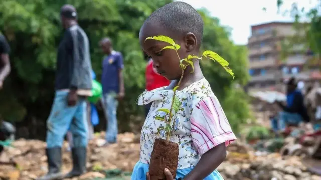 a four-year-old girl gets ready to plant a tree along the Mathare River near her old home in Kenya's capital, Nairobi