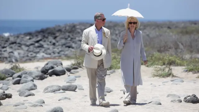 Субсидия покрывает зарубежные вояжи Чарльза и других принцев