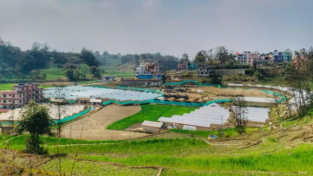 जग्गा वर्गीकरण 