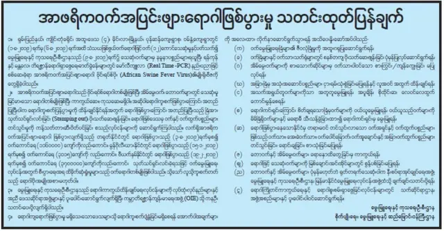 အာဖရိက ဝက်အပြင်းဖျား၊ မြန်မာ၊ ထိုင်း၊ တရုတ်