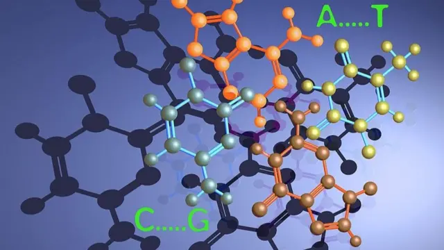 પ્રતીકાત્મક તસવીર