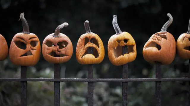 Тыквенные "головы" на заборе