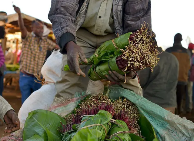 Kenya ayaa kalluun ka qaadanaysa Soomaaliya, waxayna u soo dhoofisaa Qaad