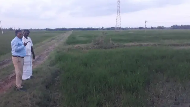 உதவி இயக்குநர் சாமிநாதன்