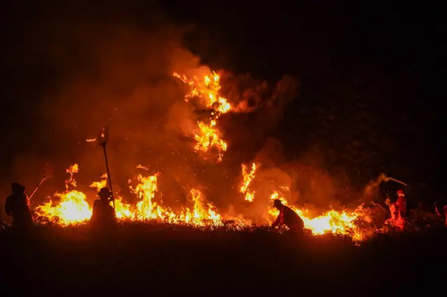 Petugas gabungan berupaya memadamkan kebakaran hutan di kawasan Taman Nasional Bromo Tengger Semeru (TNBTS), Kabupaten Pasuruan, Jawa Timur, Minggu (9/8/2026). Upaya pemadaman di kawasan terdampak dilakukan melalui jalur darat dan udara dengan mengerahkan tiga helikopter, tujuh mobil pemadam kebakaran, drone dan sementara luas kawasan TNBTS yang terdampak kebakaran diperkirakan mencapai 520 hektare dan masih dalam proses pendataan. 