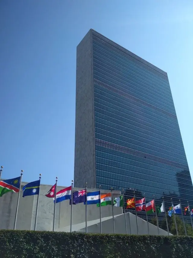 संयुक्त राष्ट्रसङ्घमा झन्डाहरू