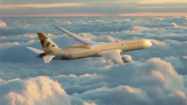 এতিহাদ ওই ঘটনার জন্য যাত্রী দুজনকেই দায়ী করেছিলো