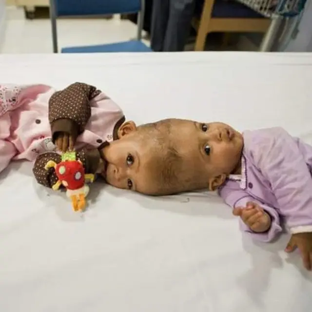 麗塔爾與麗塔吉