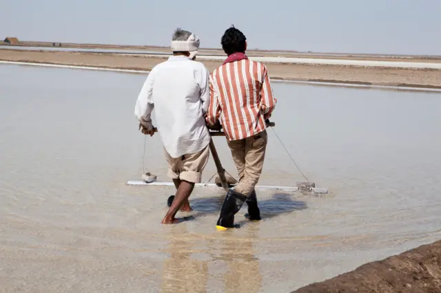 સુરેન્દ્રનગર, કચ્છનું નાનું રણ, કચ્છનું મોટું રણ, ઘુડખર, કચ્છ જિલ્લો, સુરેન્દ્રનગર જિલ્લો, બીબીસી ગુજરાતી, ગુજરાત, અગરિયાઓની સ્થિતિ, વરસાદનું પાણી, કચ્છમાં પાણી, ગુજરાતના સમાચાર