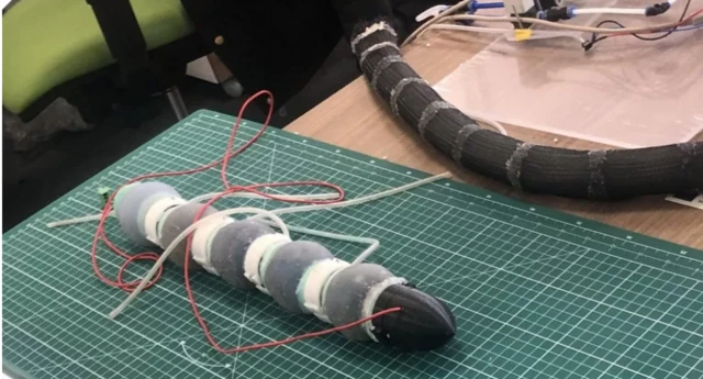 worm