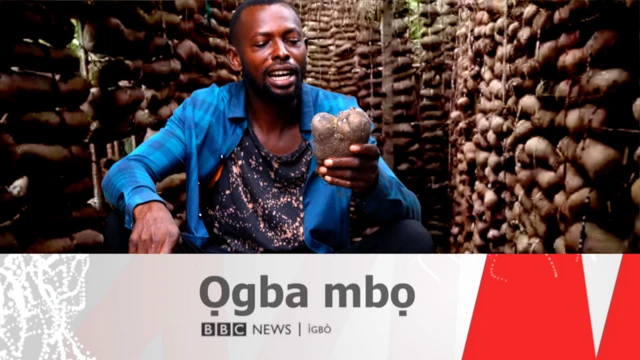 Chinedu Elieza ji ji n'aka nọrọ ọdụ n'ihu ọba ji ya