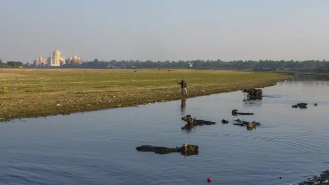 తాజ్‌మహల్