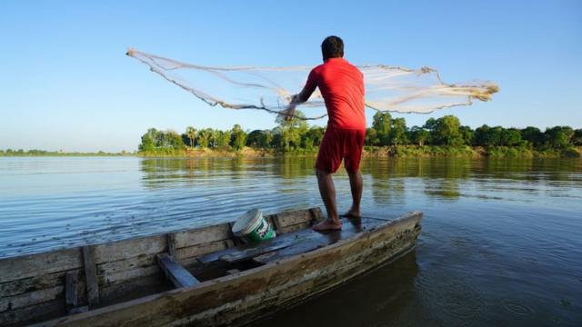 湄公河养育了许多越南农民。
