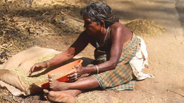 மூங்கில் பழங்குடியினரின் அன்றாட வாழ்வில் ஒரு அங்கம் வகிப்பது எப்படி? 