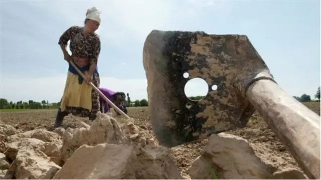 Ўзбекистон