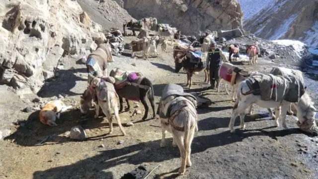 افغانستان
