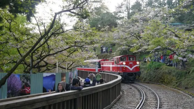 阿里山小火車。