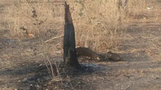 वो जगह जहां गंगाराम को जलाया गया था