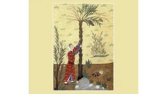 கிறிஸ்து இயேசு