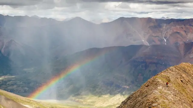 （图片来源：Vivien Cumming）