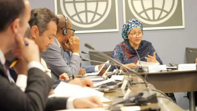 ملګري ملتونه 