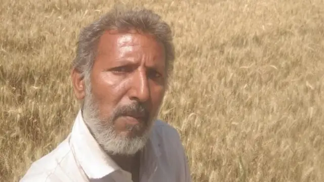 ગુજરાતમાં ઘઉંનું ઉત્પાદન વધ્યું, ભાવ ઘટશે, ઘઉંના ઉત્પાદનમાં શું ધ્યાન રાખવું, ટેકાના ભાવે એમએસપીથી ખરીદી, બીબીસી ગુજરાતી