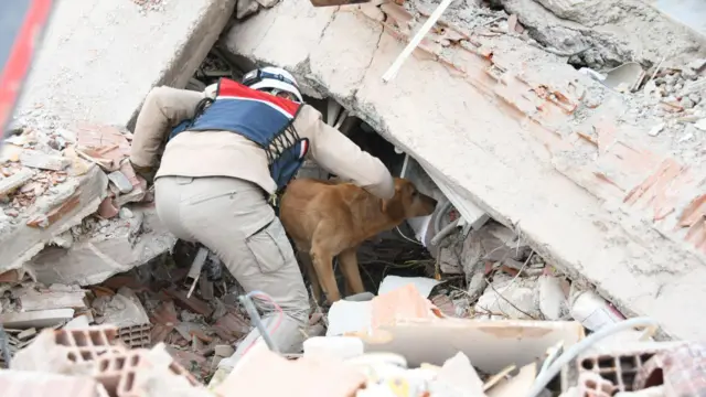 Eeyan ati aja n wa awọn to ṣee ṣe ki wọn wa labẹ ile kan to wo