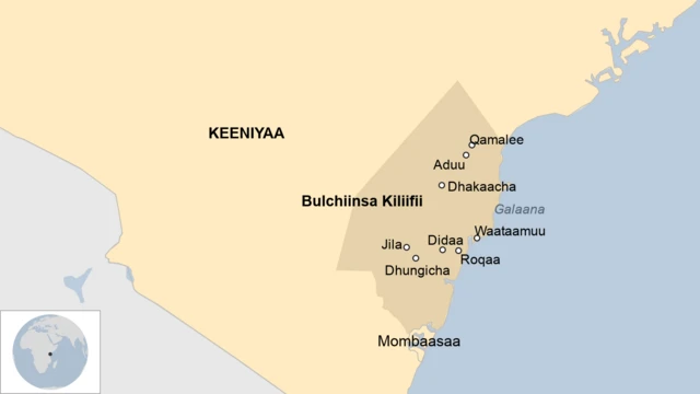 Danaa maqaalee Waataa bulchiinsa Kiliifii keessa