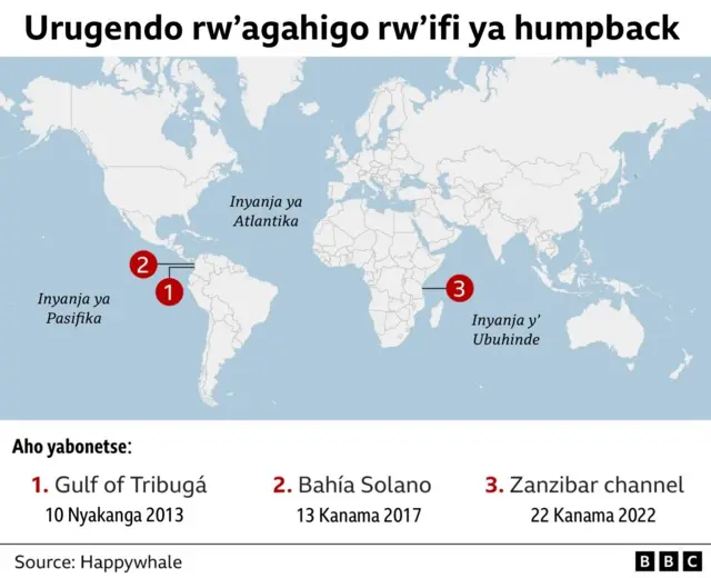 Urugendo rurerure rwa humpback